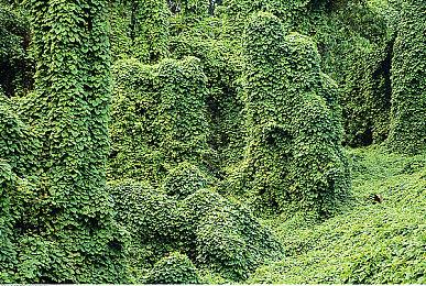 前星鸣特攻开发者力挺《马拉松》：给Bungie一个机会